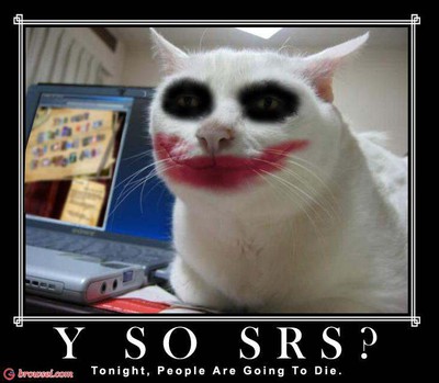 [Image: why-so-serious-cat_77870882.jpg]